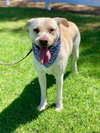 Maddy - Photo 6