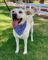 Maddy - Photo 7