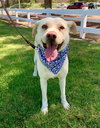 Maddy - Photo 10