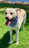 Maddy - Photo 11