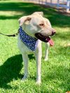 Maddy - Photo 13