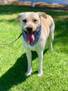 Maddy - Photo 14
