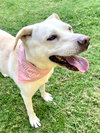 Maddy - Photo 3