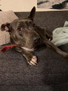 Keisy - Photo 4
