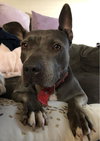 Keisy - Photo 5