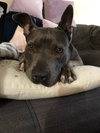 Keisy - Photo 6