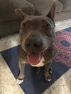Keisy - Photo 7