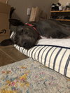 Keisy - Photo 8