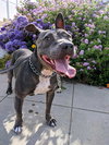 Keisy - Photo 2