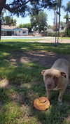 Mason - Photo 2