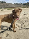 Delilah - Photo 5