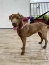 Delilah - Photo 6