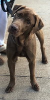 Delilah - Photo 4