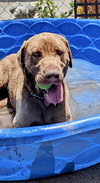 Delilah - Photo 11