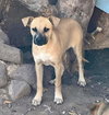 Bianca - Photo 5