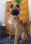 Bianca - Photo 4