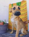 Bianca - Photo 7