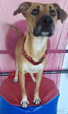 Bianca - Photo 3