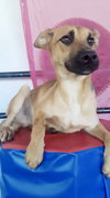 Bianca - Photo 8