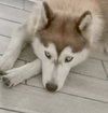 Sasha - Photo 4