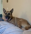 Grizzly - Photo 2