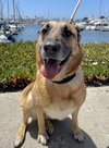 Grizzly - Photo 3