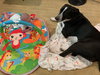 Lola - Photo 9