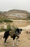 Lola - Photo 2