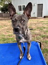 Heidi - Photo 5