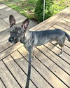 Heidi - Photo 6