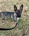 Heidi - Photo 8