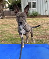 Heidi - Photo 7