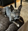 Heidi - Photo 4