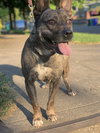 Heidi - Photo 9