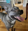 Heidi - Photo 3