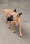 Missy - Photo 17