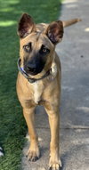 Missy - Photo 12