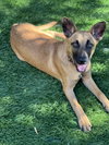 Missy - Photo 14