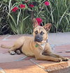 Missy - Photo 3