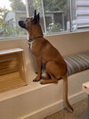 Missy - Photo 11