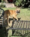 Missy - Photo 13