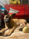 Missy - Photo 7
