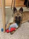 Missy - Photo 5