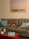 Missy - Photo 9