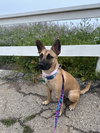 Missy - Photo 2