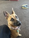 Missy - Photo 6