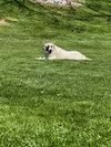 Izzy - Photo 5