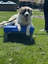 Izzy - Photo 10