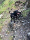 Max Boy - Photo 1
