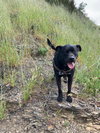 Max Boy - Photo 2